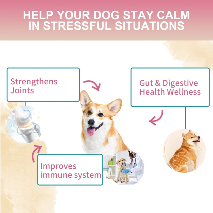 Multivitamin Chews for Dogs , Complete Daily Health Support with Probiotics & Glucosamine