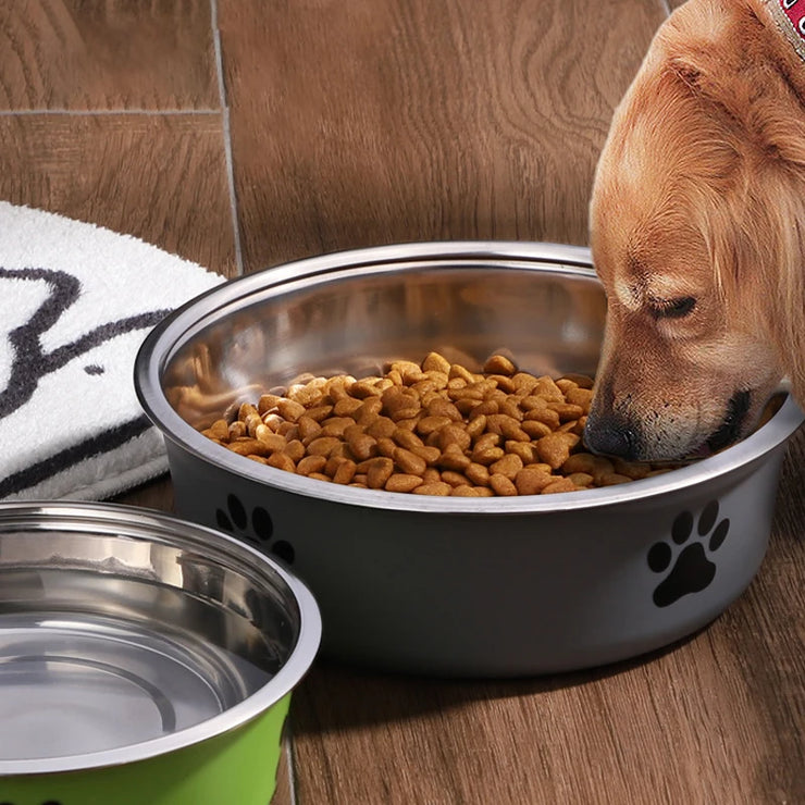 Stainless Steel Pet Bowl with Non-Slip Rubber Base