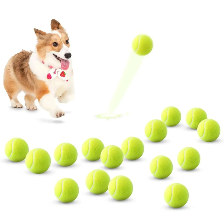 Automatic Ball Launcher for Dogs | Interactive Fetch Machine