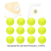 Automatic Ball Launcher for Dogs | Interactive Fetch Machine