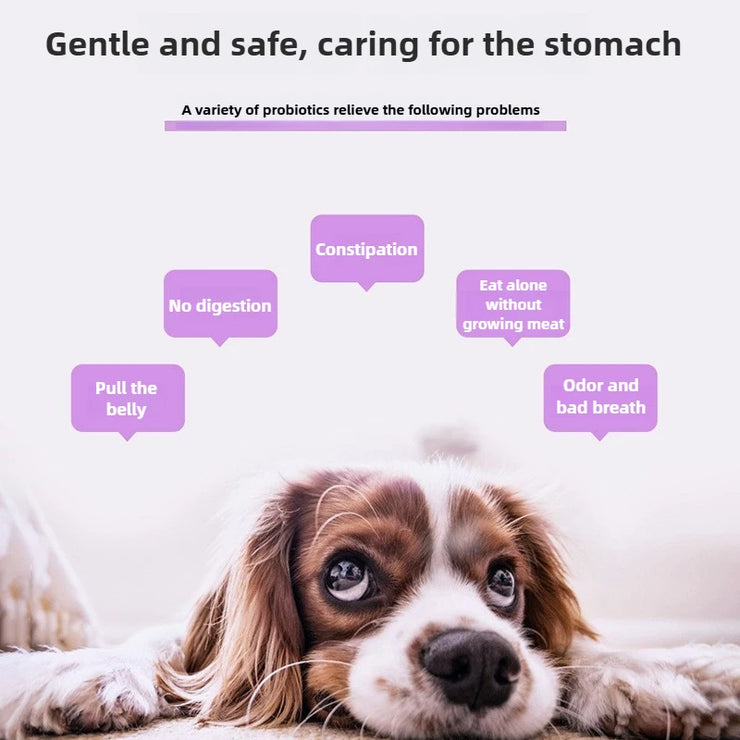 Pet Probiotics for Cats &amp; Dogs  Digestive &amp; Gut Health Support Supplement