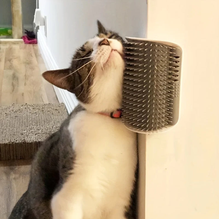Wall-Mounted Cat Self Groomer – Massage Brush for Kittens &amp; Small Pet