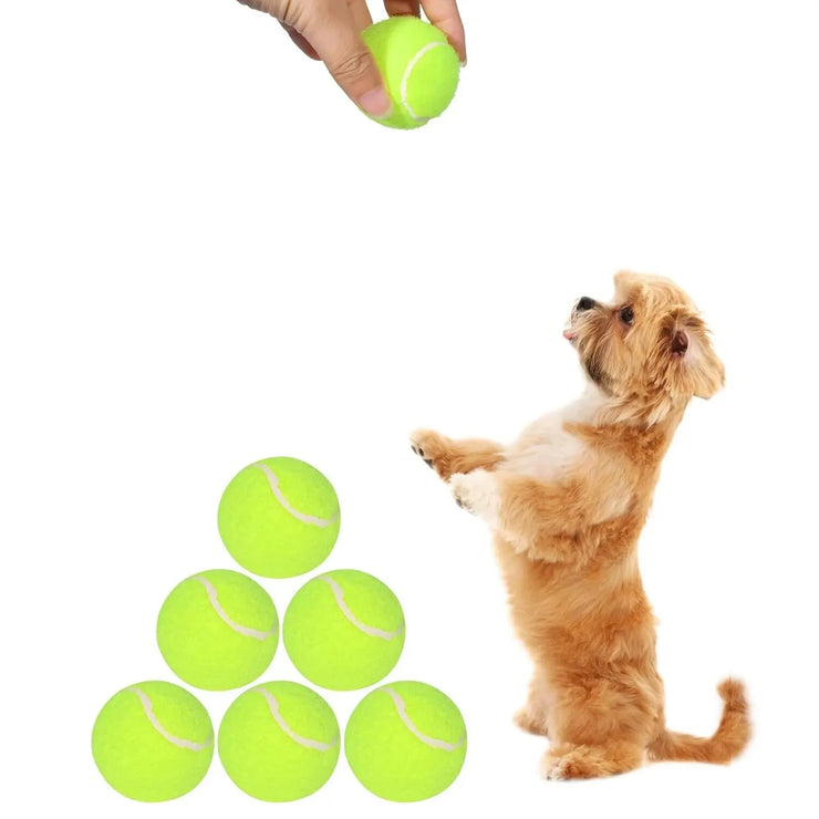 Automatic Ball Launcher for Dogs | Interactive Fetch Machine