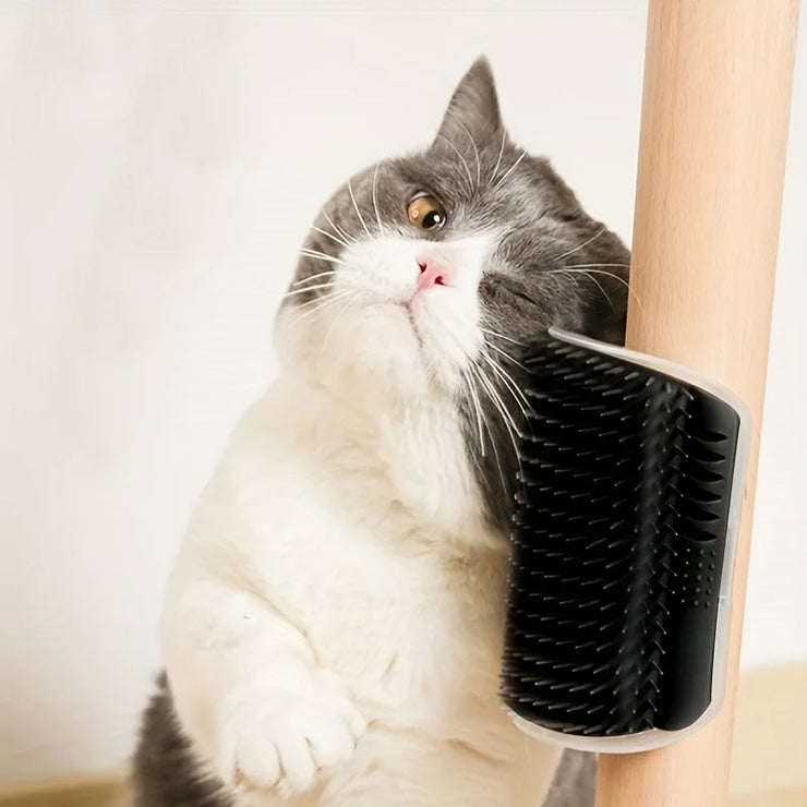 Wall-Mounted Cat Self Groomer – Massage Brush for Kittens &amp; Small Pet