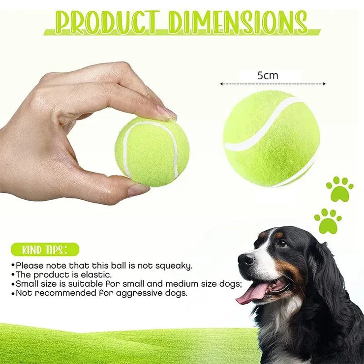 Automatic Ball Launcher for Dogs | Interactive Fetch Machine