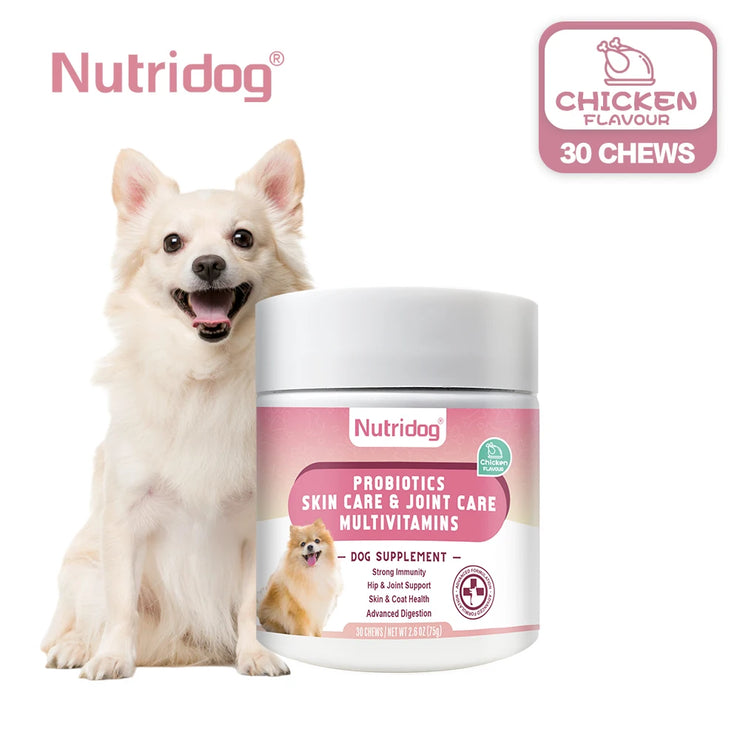 Multivitamin Chews for Dogs , Complete Daily Health Support with Probiotics & Glucosamine
