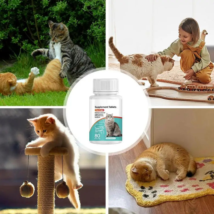 Cat Probiotic Supplement , Digestive Health Tablets for Kittens &amp; Adult Cats