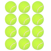 Automatic Ball Launcher for Dogs | Interactive Fetch Machine
