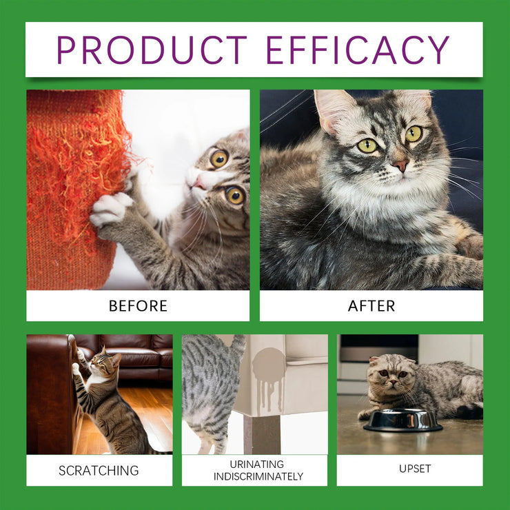 Cat Calming Diffuser Kit with Refill , Anti-Anxiety Pheromone Comfort for Cats