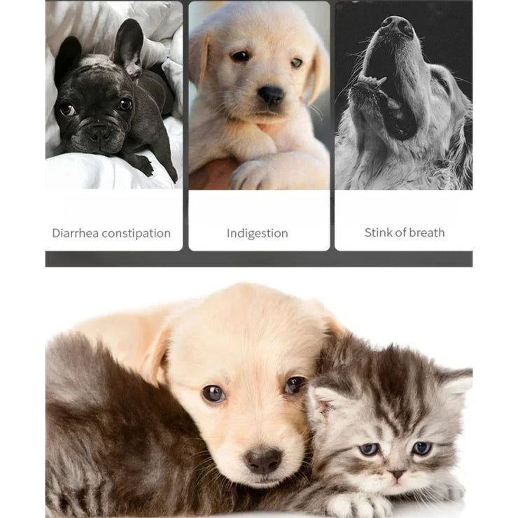 Pet Probiotics for Cats &amp; Dogs  Digestive &amp; Gut Health Support Supplement